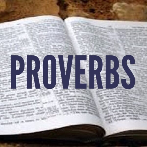 Applying Godly Wisdom Image